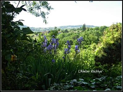 2013.05.27 Mon jardin 3