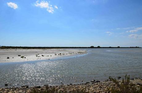 Une journée hors du temps à l’étang de Vaccarès – réserve naturelle
