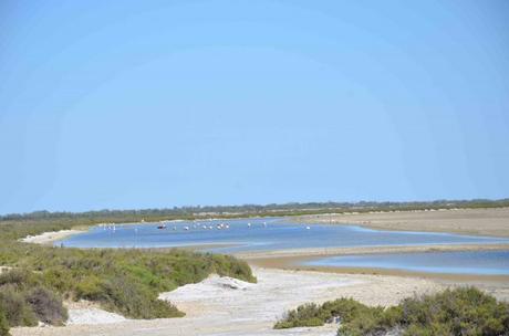 Une journée hors du temps à l’étang de Vaccarès – réserve naturelle