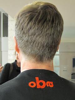 La Hollande l'autre pays des bibliothèques ou la fin d'un mythe La Hollande l'autre pays des bibliothèques ou la fin d'un mythe