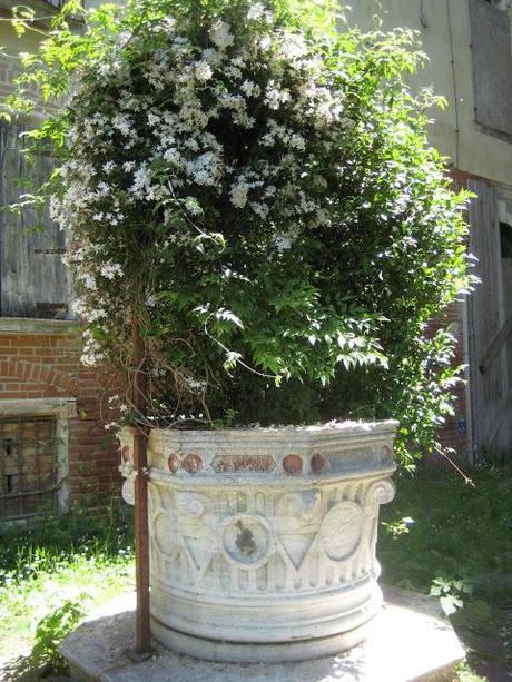 C'est bien le printemps !