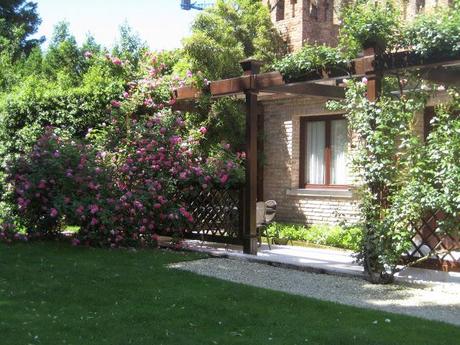 C'est bien le printemps !