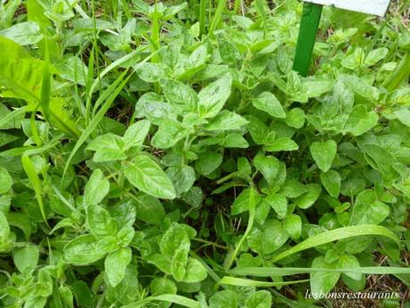 MONTENACH(57)-Le Vallon Frais