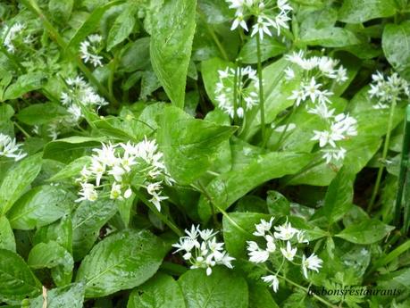 MONTENACH(57)-Le Vallon Frais