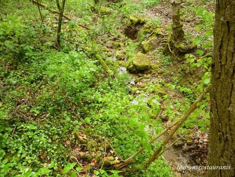 MONTENACH(57)-Le Vallon Frais