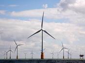 Éolien offshore s’associe pour 2ème appel d’offres