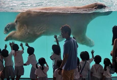 ARRÊT SUR IMAGE 30-05-13