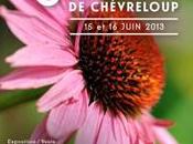 5ème Botaniques Chèvreloup juin 2013