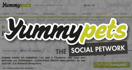 On parle de nous sur le site Yummypets.com !
