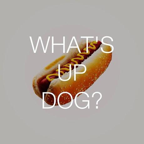 talking-food.-dog