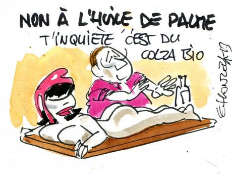 L’huile de palme est-elle victime du protectionnisme français ?
