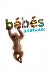 Idées sorties pour le mois de juin...