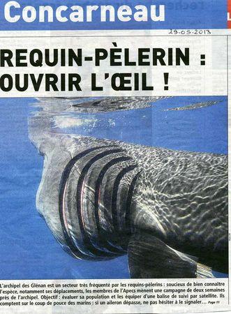 Le-Telegramme-29-05-2013