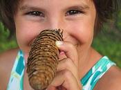 Joyeux anniversaire Rosalie