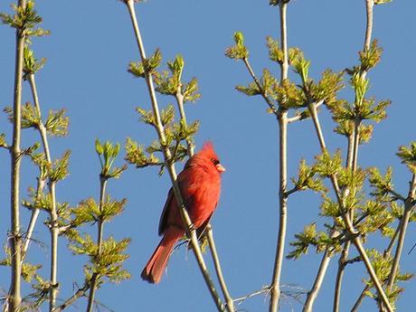 Bonheurs & Irritants