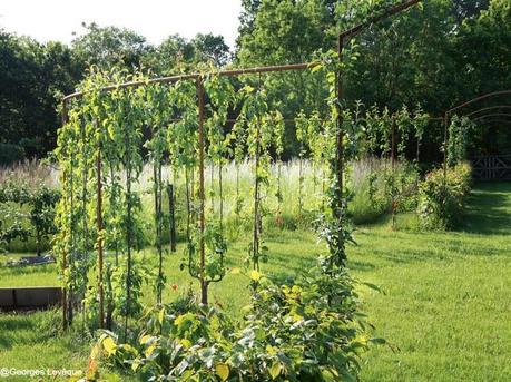 Un JardiN BaroquE...