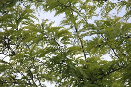 Les Photos du Dimanche #74