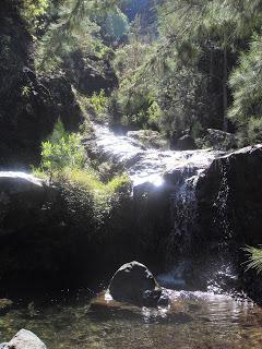 L’Ile de la Réunion – la terre (partie 2)