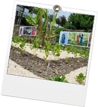 La To Do Green de la semaine – du 3 au 9 juin