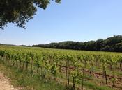 pause printemps (dans vignes, sous vent)...