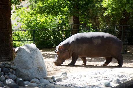 Le zoo de la Palmyre