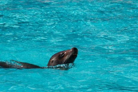 Le zoo de la Palmyre