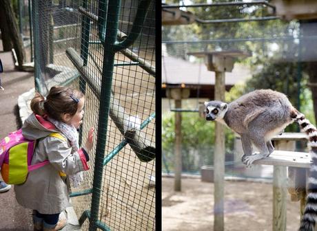 Le zoo de la Palmyre