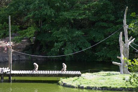 Le zoo de la Palmyre