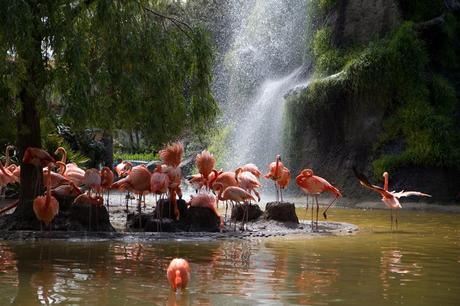 Le zoo de la Palmyre