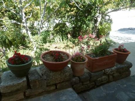 saisons,été,soleil,journal intime,écriture,société