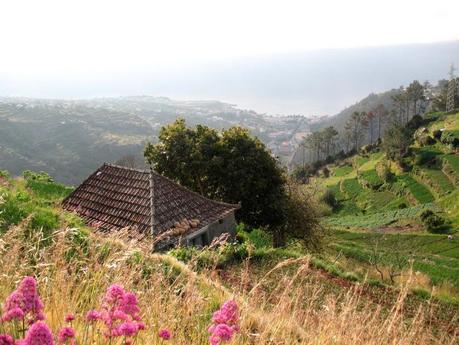 La fenêtre à l'Est...