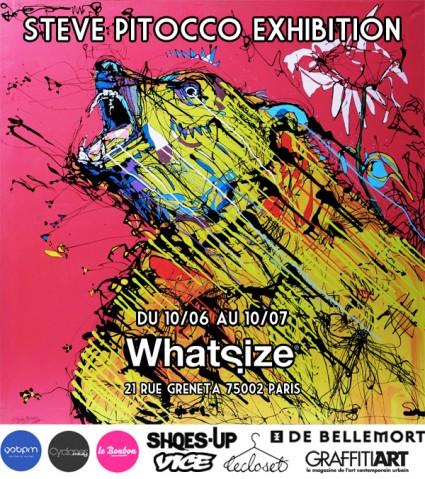 STEVE PITOCCO EXHIBITION