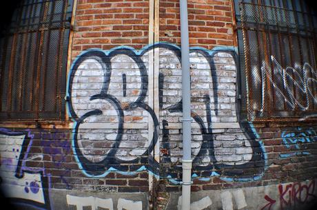 Sern/Puma (#2) Sern (6)