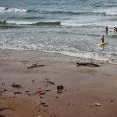 Surfeurs évacués par les MNS à Biarritz pour cause de pollution « Surfing Biarritz Web Mag