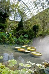 L'Art du Jardin au Grand Palais : l'exposition végétale dans 