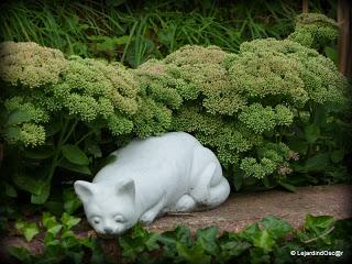 Côté Nord de la maison...