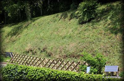 Côté Nord de la maison...