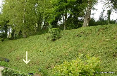 Côté Nord de la maison...