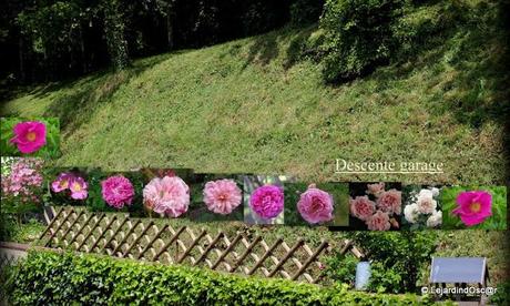 Côté Nord de la maison...