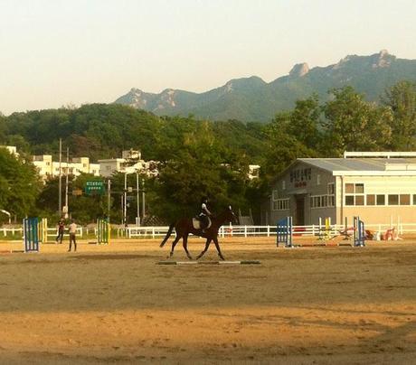 Ballade a cheval pres de Seoul