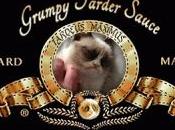 Grumpy Cat, chat sacré artistes