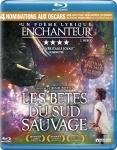 thumbs cover beastsofsouthernwild brd fr 300dpi Les Bêtes du Sud Sauvage : un voyage initiatique ...