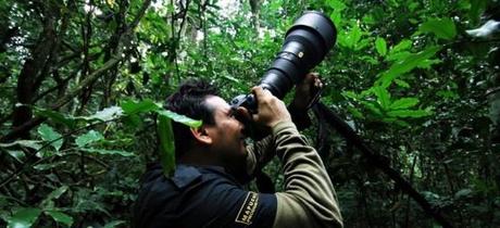 Apple Store du Louvre: Rencontrez le photographe animalier Jorge Camilo Valenzuela