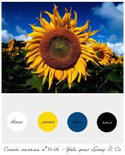 Défis du mois de juin