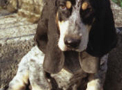 première fois... Surprise