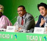 TICAD : On se bouscule pour l'Afrique