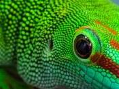 Télécharger gratuitement version complète logiciel CyberLink PhotoDirector (valeur €)...