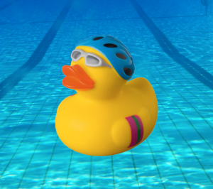 Le caneton s’est noyé dans le petit bain