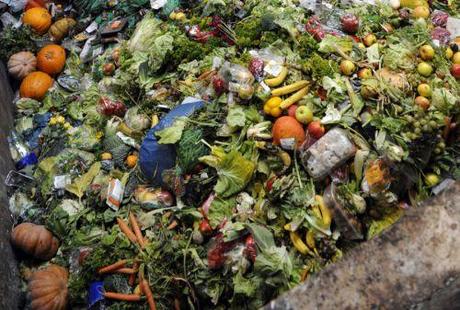 Journée mondiale de lenvironnement : Lutter contre le gaspillage alimentaire