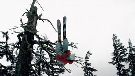 Ski Tree Stomping_by Slow Motion Films 2
